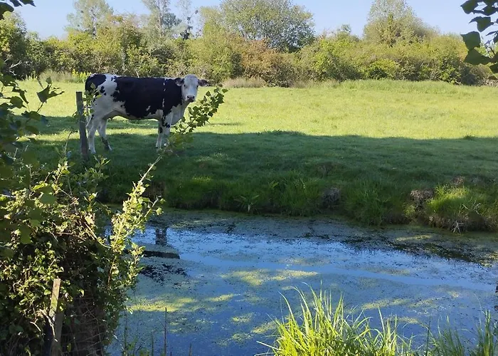 Nyaraló Charmante Maison De Campagne, Avec Jardin, Vue Riviere, 15 Min Cabourg *